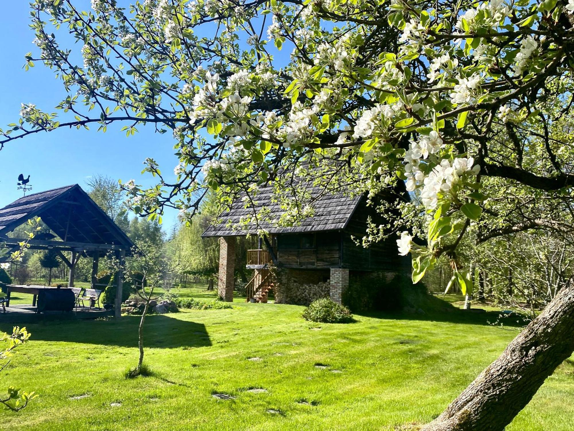 Villa Griki Kalniski Exterior foto